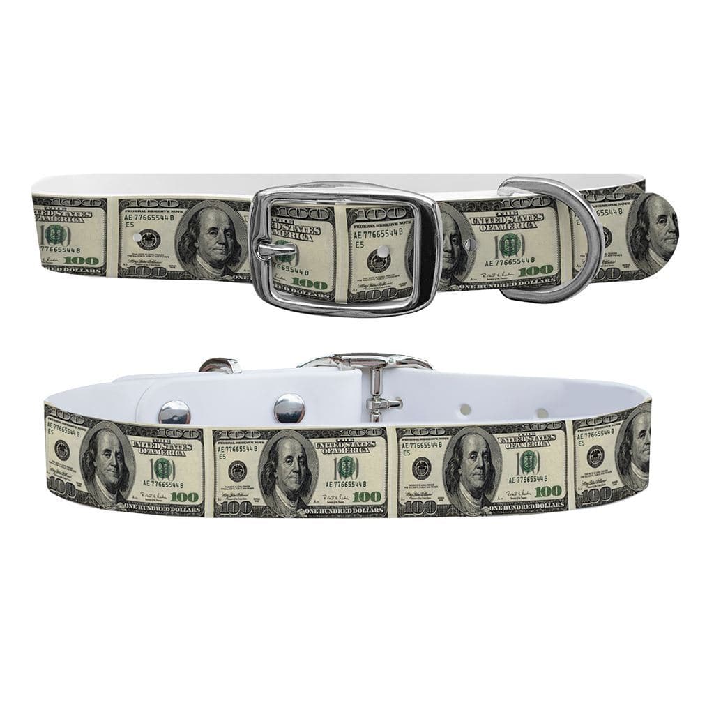 C4 100 Dollar Bill Dog Collar