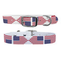 C4 All American Dog Collar