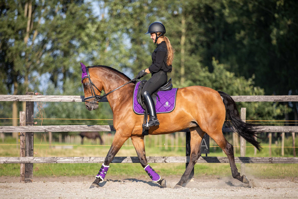 Purple Amethyst Saddle Pad Set