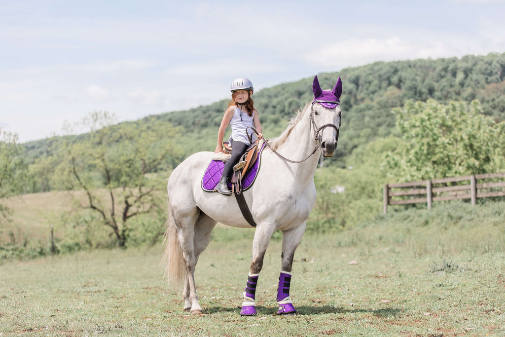 Purple Amethyst Saddle Pad Set
