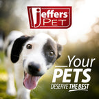 Jeffers Black Padded Leather Pet Leash